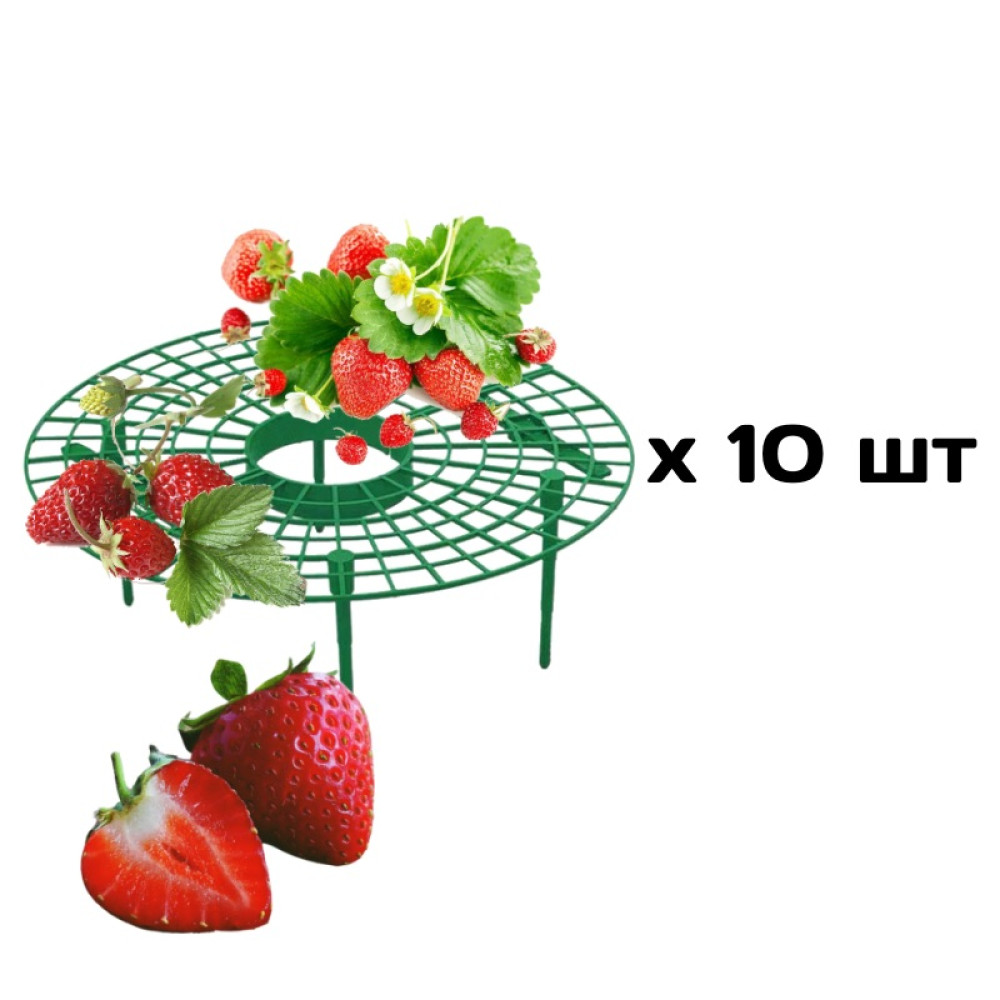 Підставка для полуниці 10 шт